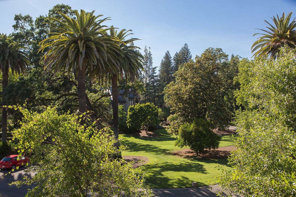 Alila Napa Valley, A Hyatt Resort St. Helena Exterior foto