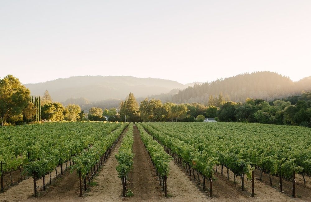 Alila Napa Valley, A Hyatt Resort St. Helena Exterior foto