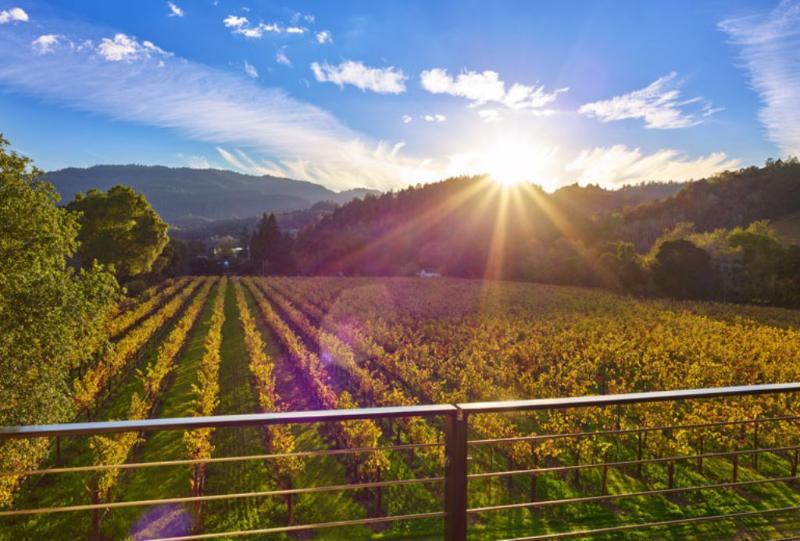 Alila Napa Valley, A Hyatt Resort St. Helena Exterior foto