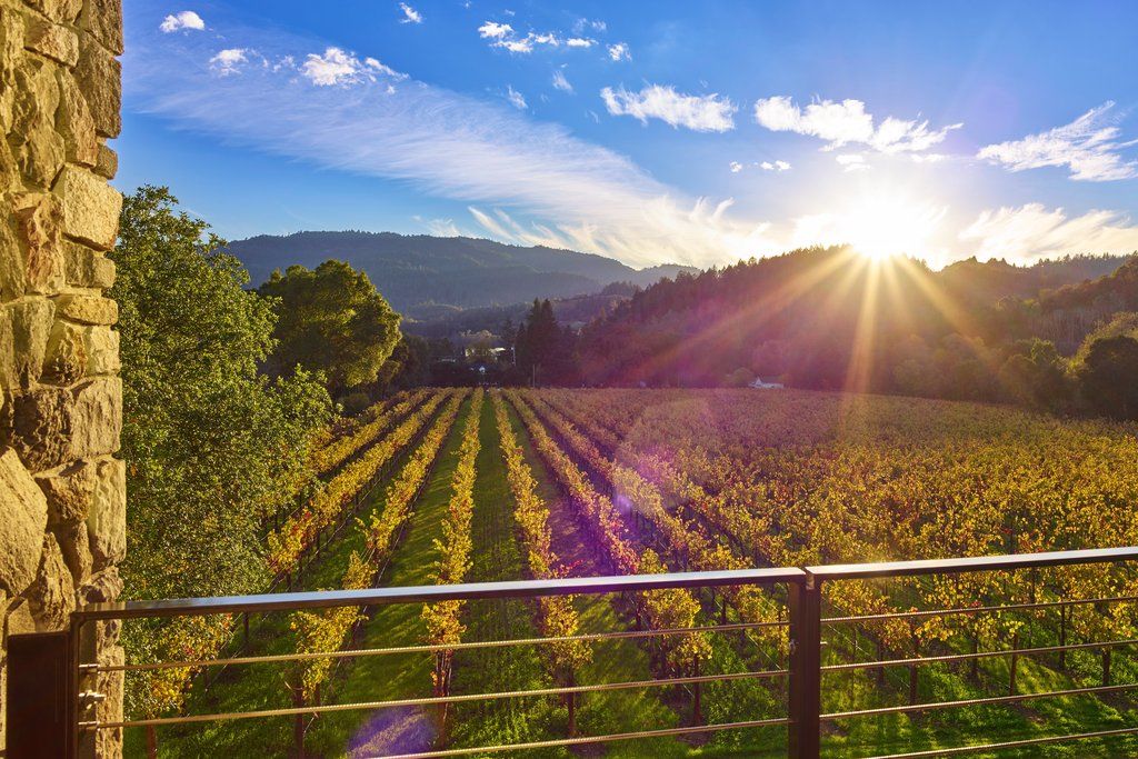 Alila Napa Valley, A Hyatt Resort St. Helena Exterior foto